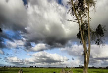 2026世界杯竞猜-周冠宇告别法拉利车队，中国F1车手未来可期