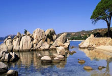 竞彩世界杯-视频｜国际足联理事会为2026年国际足联世界杯批准创纪录的财政拨款